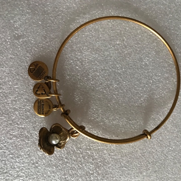 Alex and Ani Expandable Wire Bracelet - Picture 2 of 7